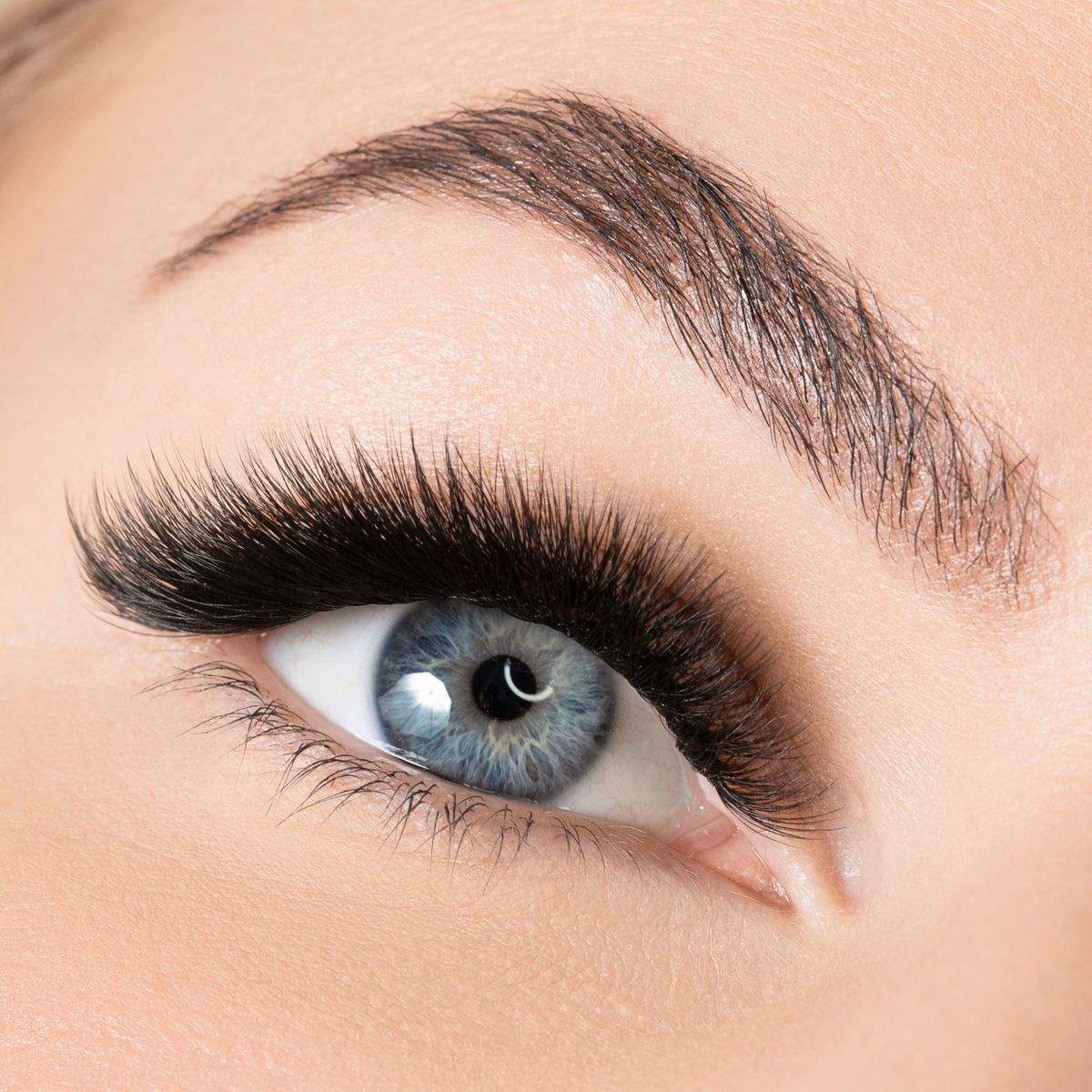 Volume lashes